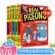 英文原版 Real Pigeons Graphic Novel 真正的鴿子 5冊(cè)  漫畫(huà)繪本圖畫(huà)書(shū) 偵探推理圖樣式小說(shuō) 小學(xué)生英文課外閱讀