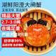 【活蟹】湖鮮陽(yáng)澄 大閘蟹 去繩足重 2.7-3.0兩 8只 鮮活六月黃現(xiàn)貨超大螃蟹水產(chǎn)禮盒裝