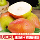 趣嘗鮮河北彩虹梨 鮮果凈重5斤裝 單果120g+ 源頭直發(fā) 水果