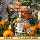 嬌蘭（Guerlain）花草水語柑橘羅勒香型淡香水75ml化妝品禮盒生日禮物送女友