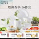CORELLE康寧餐具美國進(jìn)口耐熱玻璃湯碗盤子套裝歐洲香草餐具整套送禮 【4人食】高檔禮盒裝 16件套