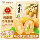 四叔公果蔬金獎·雞心黃皮果【JD閃送】廣東新鮮雞心果當(dāng)季送禮水果禮盒 （自吃推薦-顆顆精品）鎖鮮裝 3斤裝【超值推薦-80%買】爽吃裝