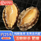 鯨甘郎純鮑魚(yú)肉鮮活冷凍大鮑魚(yú)加工熟凍三去免處理無(wú)殼新海鮮小鮑魚(yú)送禮 【約25頭】三去鮑魚(yú)肉毛重1斤
