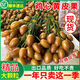 正宗雞心黃皮果順豐包郵新鮮現(xiàn)摘酸甜黃彈子大水果醬當(dāng)季孕婦整箱 1斤