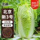 北蔬 北京新三號(hào)白菜種子種苗秋季種蔬菜種籽 北京新三號(hào)種子10g