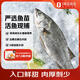 1號會員店（One's Member）零添加保水劑白蕉三去海鱸魚 1000g（500g*2） 海魚 海鮮水產(chǎn)
