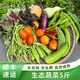初土記新鮮蔬菜 自種時(shí)令蔬菜套餐 蔬菜組合 5斤裝【3-4種時(shí)令蔬菜】