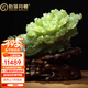 伯莎丹頓岫玉白菜擺件公司開業(yè)賀禮辦公室天然玉石玉器雕客廳酒柜喬遷禮品 精品綠料 31*37*14CM