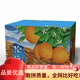 鮮青錄倫晚臍橙秭歸夏橙 九月紅橙子新鮮春橙宜昌大甜現(xiàn)摘紐荷爾送禮 凈重9斤大果（20-24個(gè)）