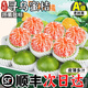 順豐正宗贛南尋烏蜜桔5斤新鮮水果當(dāng)季現(xiàn)摘無(wú)籽薄皮砂糖桔柑橘子Y 3斤【順豐現(xiàn)摘】 小果【單果40-50mm】