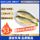 GUO LIAN國聯(lián) 三去黃花魚 2斤共2條國產(chǎn)東海大黃魚 海鮮海產(chǎn)冷凍