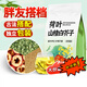 同仁堂（TRT）荷葉山楂白芥子茶包荷葉山楂白芥子養(yǎng)生茶飲包泡水喝的功效作用 荷葉山楂白芥子【40包】不忌口