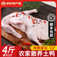 崠鮮 新鮮鴨肉生鮮白條鴨冷凍整只 煲湯食材鴨子肉 鴨子 凈1000g*2只