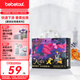 bebetour愛麗絲奇緣拉拉褲4XL28片(19kg以上)嬰兒夜用尿不濕舒適定點下滲【品牌直供 安心品質】