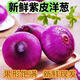 美禮2025年新鮮紫皮洋蔥農(nóng)家自種紅圓蔥頭生吃水果洋蔥 5斤