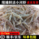 林中山 【順豐/JD】青島鮮活速凍淡水小河蝦小白蝦大河蝦冷凍小明蝦 海水小白蝦2斤（4cm-6cm左右）