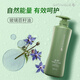 安利（Amway）絲婷洗發(fā)露豐盈修護潤澤保濕凈護調(diào)理去屑止癢控油蓬松洗發(fā)水正品 凈護調(diào)理洗發(fā)水(凈護柔順)