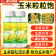金大棒玉米葉面肥沃正品水溶增產(chǎn)增收專(zhuān)用巴噴施抗倒伏高產(chǎn)肥料盾 玉米專(zhuān)用葉面肥粒粒飽促根壯苗肥