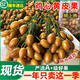 粵迎廣東雞心黃皮果【JD順豐冷鏈】當(dāng)季特產(chǎn)新鮮現(xiàn)摘現(xiàn)發(fā)孕婦可吃 雞心黃皮果【酸甜多汁】 5斤老樹(shù)果【獨(dú)享裝-較劃算】?jī)?斤