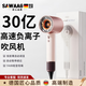 颯望【德國】吹風(fēng)機家用靜音負(fù)離子大功率不傷發(fā)護(hù)發(fā)無葉電吹風(fēng)筒吹頭發(fā)速干便攜造型酒店發(fā)廊女友老婆 【落日玫瑰+單風(fēng)嘴】30億負(fù)離子 【專業(yè)恒溫護(hù)發(fā)】