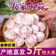 【百萬斤】【急賣】大蒜頭批發(fā)干蒜紫皮大蒜頭干蒜特大新鮮大蒜 新干蒜5斤保質(zhì)沖量-自然晾曬 整箱 5斤 特大果【果徑5.5cm起】