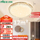 雷士（NVC）LED吸頂燈輕奢浪漫臥室書房餐廳燈具滿天星北歐燈飾包安裝