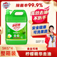 凈佰俐洗潔精5kg*4瓶泵頭裝整箱檸檬精華去油果蔬清洗劑餐具家用洗滌靈