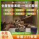 MI小米米家全屋智能家居控制系統(tǒng)套裝適用于綠米智能窗簾燈光方案 全屋智能豪華定制【限時送插座】