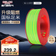德力西（DELIXI）電線電纜ZC-BV2.5平方阻燃單芯單股家用銅芯電線100米黃綠地線 