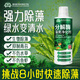 德國清潔魚(yú)缸除藻除青苔除綠水去苔劑褐藻滅藻劑殺菌除藻劑絲藻 10瓶*【打造完美空氣缸/整年不生藻】