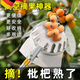 摘水果神器伸縮桿枇杷高空摘果器楊梅果子杏沃柑桃橘桔柿子采摘器 1.5米【不銹鋼】防爆桿+網兜摘頭