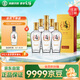 勁牌 毛鋪苦蕎酒 露酒 金蕎 42度 500ml*6瓶 整箱裝