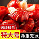 蝦尾冷凍生批發(fā)整箱10斤 特大號龍蝦尾麻辣小龍蝦鮮活新鮮速凍蝦 新貨【480-500?！?斤