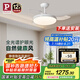 Paulmann P德國柏曼隱形風扇燈全光譜護眼吊扇燈客廳餐廳臥室靜音遙控燈