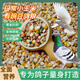 新鴿子糧20斤營養(yǎng)有玉米無玉米鴿糧鴿子飼料信鴿成幼鴿觀賞鴿5斤 有玉米有豌豆鴿糧 20斤