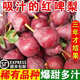 山西特級紅啤梨孕婦時令水果新鮮應(yīng)當(dāng)季現(xiàn)摘紅皮梨子整箱 5斤 大果