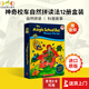 學(xué)樂 神奇校車 Magic School Bus Phonics 神奇校車自然拼讀法12冊(cè)盒裝 英文原版 送音頻 Scholastic