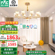 雷士（NVC）吊燈后現(xiàn)代歐美百搭大氣智能LED吊燈具套餐輕奢客廳燈網(wǎng)紅燈飾 莫妮卡10頭120瓦led智能吊燈