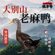 徽豐號 大別山老麻鴨2斤/只 散養一年以上老鴨子生鮮鴨肉鴨貨土鴨 老麻鴨 2只裝
