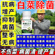 菌立清殺菌劑微生物菌劑正品白菜根腐爛軟腐病灰霉病黃葉爛根全治 5瓶【整季無病菌】