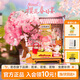若態(tài)若來diy手工拼裝小屋nanci娃屋積木拼圖兒童玩具生日禮物女生