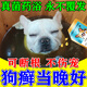 那非普那非普寵物狗狗藥浴皮膚病癬止癢沐浴露專用真菌感染掉毛濃縮洗液 一盒裝 那非普藥浴狗狗皮膚病專治200%效 派奧潔寵物藥浴99種皮膚病專用藥