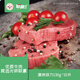 聯(lián)豪食品  澳洲菲力整切牛排套餐凈重130*10厚切牛扒兒童牛肉燒烤源頭直發(fā)