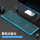 MOSHE邁.叢有線(xiàn)機械手感鍵盤(pán)靜音游戲電競辦公打字臺式筆記本電腦鍵盤(pán) 黑色-冰藍光(靜音+防水+調高架)