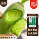 北蔬 濰坊水果蘿卜種子苗秋季種青羅卜蔬菜種籽 濰縣青蘿卜種子10g