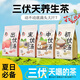 三伏湯三伏天40天養(yǎng)生茶祛濕氣四神湯姜棗茶茯苓山藥茶 三伏天養(yǎng)生黃金期 順序很重要 三伏天養(yǎng)生茶全套[4袋共64包]