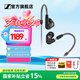 森海塞爾（Sennheiser）IE900/IE600/IE300旗艦級(jí)HIFI高保真超寬單動(dòng)圈單元可拆卸MMCX掛耳式耳機(jī) 高保真發(fā)燒有線耳機(jī)耳塞 IE300 【進(jìn)階HIFI高保真】