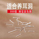 兩世歡S999純銀耳釘女雙頭耳棒足銀不易過(guò)敏養(yǎng)耳骨釘迷你小豆豆學(xué)生耳飾 銀色10mm【999足銀2對(duì)裝】