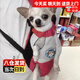 貝尼寵 貓包外出 狗包雙肩背包 胸前包 透氣四腳包網(wǎng)紅款寵物正背反背包 紅白S 背長(cháng)15-23cm適1-3斤