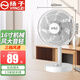 揚子 揚子電風(fēng)扇家用平面扇辦公宿舍學(xué)生大風(fēng)臺扇搖頭靜音小型桌面電扇 16英寸機械款+3米加長線 無規(guī)格